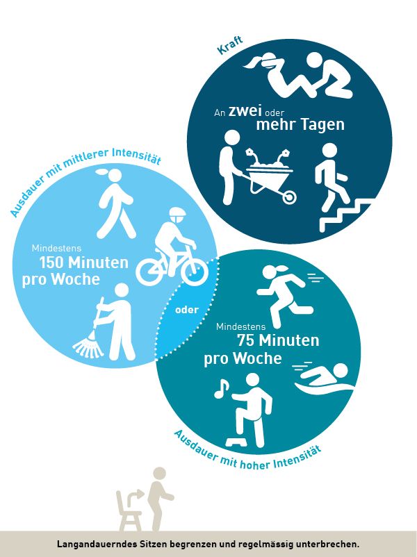 Grafik Bewegungsempfehlungen Erwachsene. Ausdauer mit mittlerer Intensität: Mindestens 150 Minuten pro Woche. Oder Ausdauer mit hoher Intensität: Mindestens 75 Minuten pro Woche. Kraft an zwei oder mehr Tagen pro Woche.