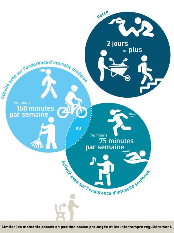 Activité physique recommandées pour les adultes: Activité axée sur l’endurance d’intensité modérée: Au moins 150 minutes par semaine. Activité axée sur l’endurance d’intensité soutenue: Au moins75 minutes par semaine. Force: 2 jours ou plus par semaine.
